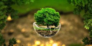 Miniature Of A Nature picture nature wallpaper