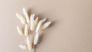 Minimalist background minimalist wallpaper