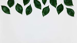 Minimalist background minimalist wallpaper