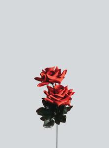 Minimalist Roses Picture minimalist wallpaper