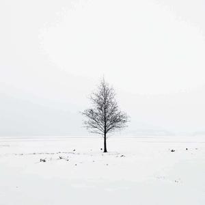 Minimalist Tree In Snow Pictures minimalist wallpaper