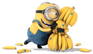 Minions Hugging Bananas minions wallpaper