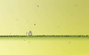 Miyazaki's beloved classic: a moment of joy with Totoro totoro wallpaper