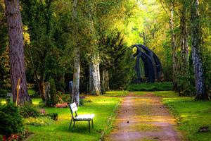 Modern Nature Park nature wallpaper
