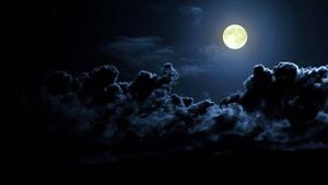 Moon moon wallpaper