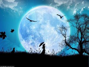 Moon moon wallpaper