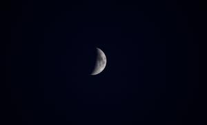 Moon moon wallpaper