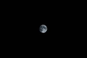 Moon moon wallpaper