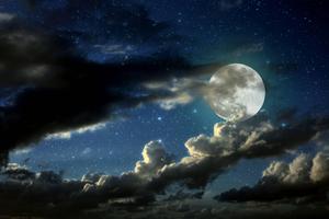 Moon moon wallpaper