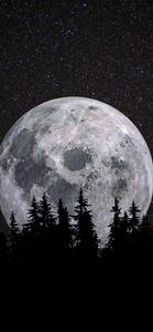 Moon Aesthetic Forest moon aesthetic wallpaper
