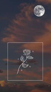 Moon Aesthetic Rose Sketch moon aesthetic wallpaper