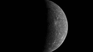 Moon moon wallpaper