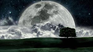 Moon moon wallpaper