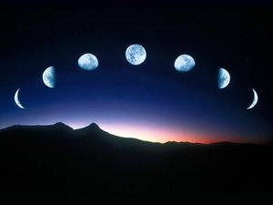 Moon moon wallpaper