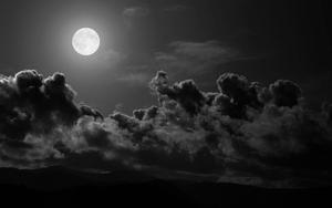 Moon moon wallpaper