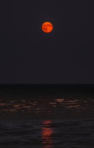 Moon Lunar Eclipse View moon wallpaper