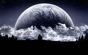 Moon moon wallpaper