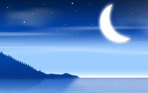 Moon moon wallpaper