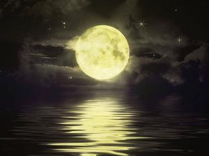 Moon moon wallpaper