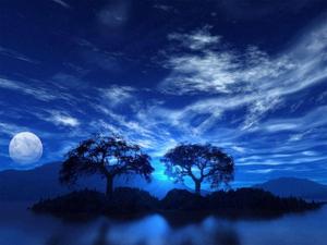 Moon moon wallpaper