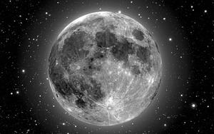 Moon moon wallpaper