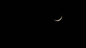 Moon moon wallpaper