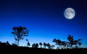 Moon moon wallpaper