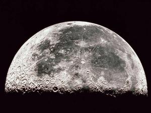 Moon moon wallpaper