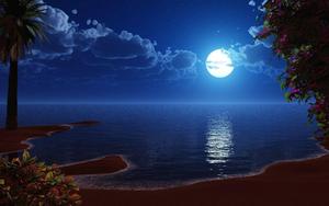 Moon moon wallpaper