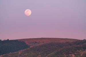 Moonlight Pink Sky moon wallpaper