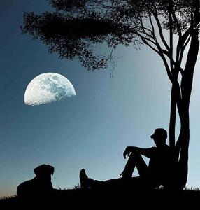 Moonlit Solitude – Where Silence Speaks Wallpaper