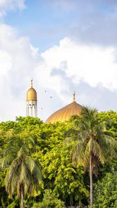 Mosque Of Allah Within Trees Wallpaper