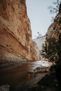 Nature Background nature wallpaper