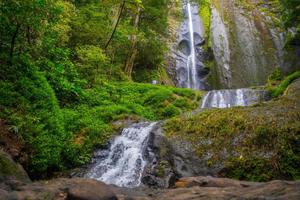 Nature Background nature wallpaper