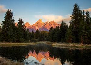 Nature Background nature wallpaper