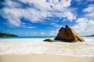 Nature Background nature wallpaper