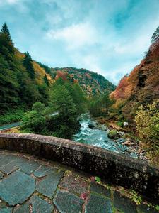Nature Background nature wallpaper