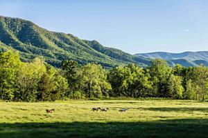 Nature Farm Field Picture nature wallpaper