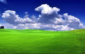 Nature Green Field Picture nature wallpaper