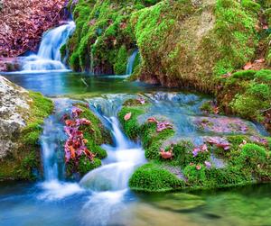 Nature Spring Falls spring wallpaper