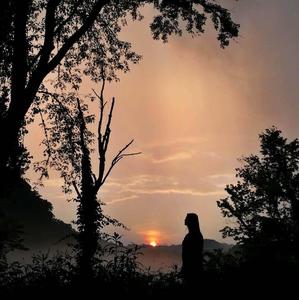 Nature Sunset Silhouettes Picture nature wallpaper
