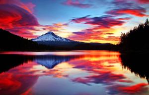 Nature's Coolest Colors cool wallpaper