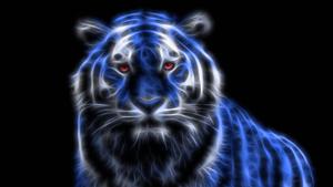 Neon Blue Tiger tiger wallpaper