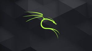 Neon Green Kali Linux HD linux wallpaper