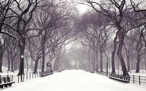 New York City background new york city wallpaper