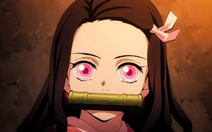 Nezuko: Demon Slayer nezuko wallpaper
