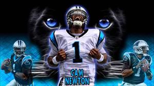 NFL Cam Newton nfl wallpaper
