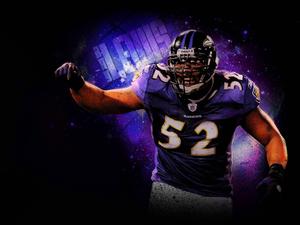 NFL Ray Lewis nfl wallpaper