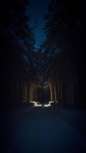 Night In The Forest 4K Ultra HD Dark Phone 4k ultra hd dark phone wallpaper