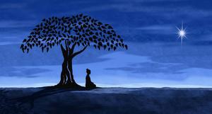 Nirvana from Meditating: A Path to Uncover Your Inner Peace buddha wallpaper